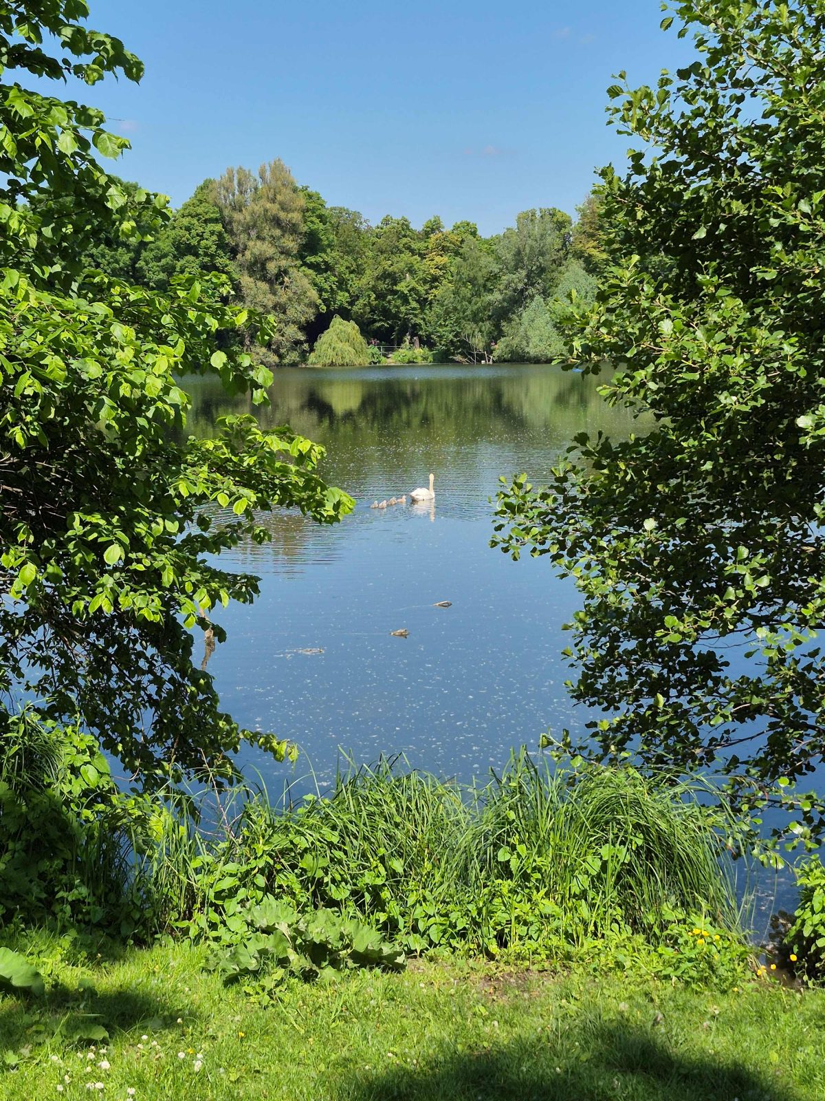 Biochemie für eine Idylle